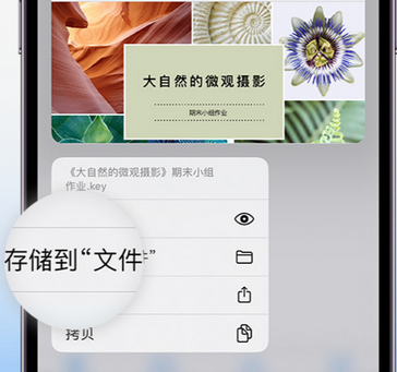 幸福路街道apple维修中心分享iPhone文件应用中存储和找到下载文件