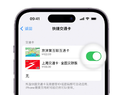 幸福路街道apple维修点分享iPhone上更换Apple Pay快捷交通卡手绘卡面 