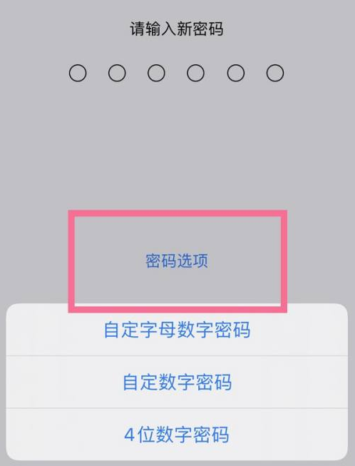 幸福路街道苹果14维修分享iPhone 14plus设置密码的方法 