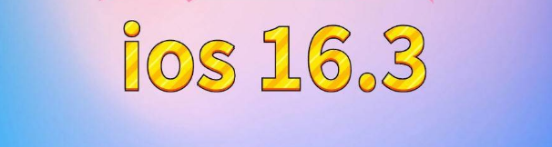 幸福路街道苹果服务网点分享苹果iOS16.3升级反馈汇总 