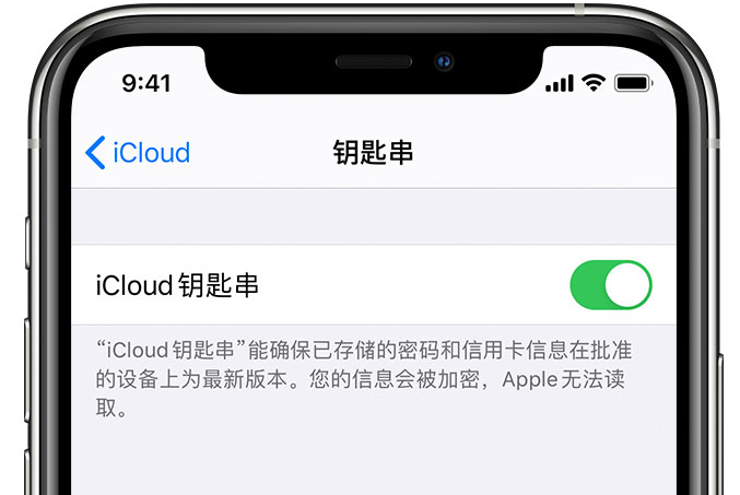 幸福路街道苹果手机维修分享在 iPhone 上开启 iCloud 钥匙串之后会储存哪些信息 