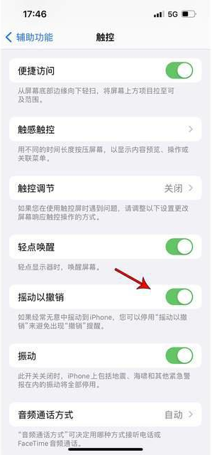 幸福路街道苹果手机维修分享iPhone手机如何设置摇一摇删除文字 